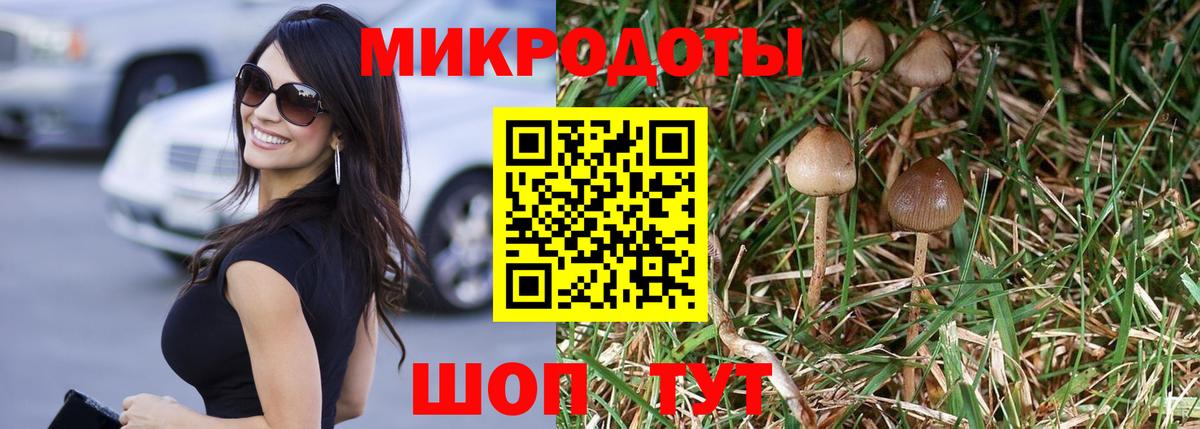 Галлюциногенные грибы прущие грибы Грязи