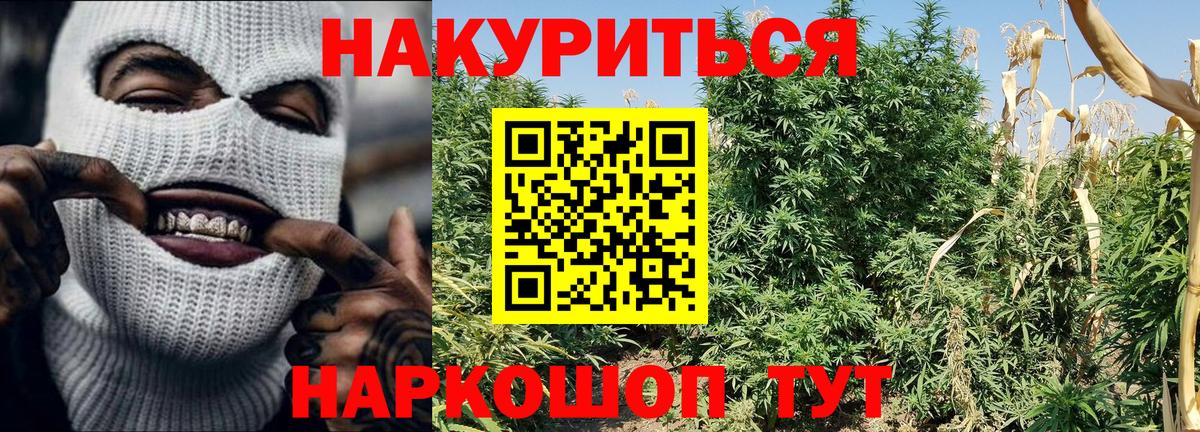 Шишки марихуана White Widow  Бошки Шишки ГИДРОПОН  Грязи  Вход с VPN  Марихуана AK-47 